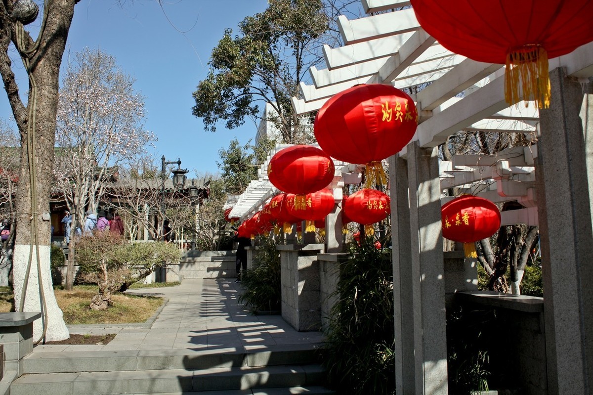 早春——趵突泉景色