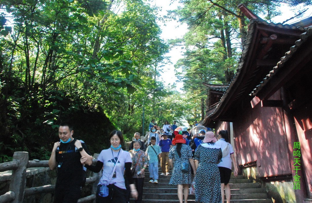 峨嵋仙山避暑登金顶上          周鸣天