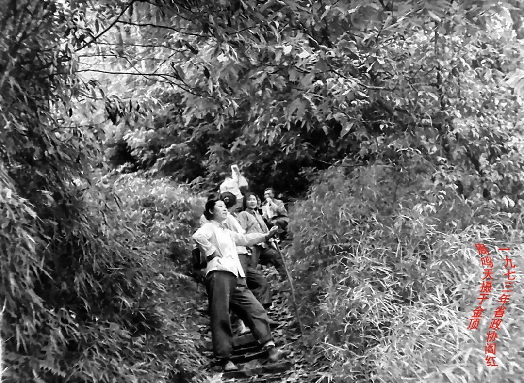 峨嵋仙山避暑登金顶上          周鸣天