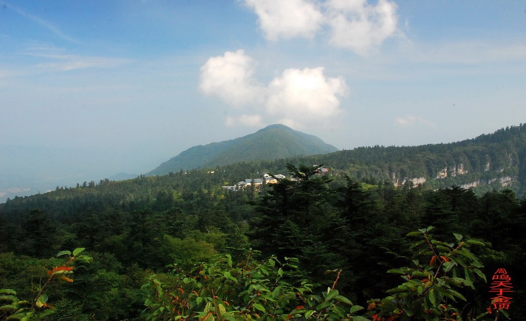 峨嵋仙山避暑登金顶上          周鸣天