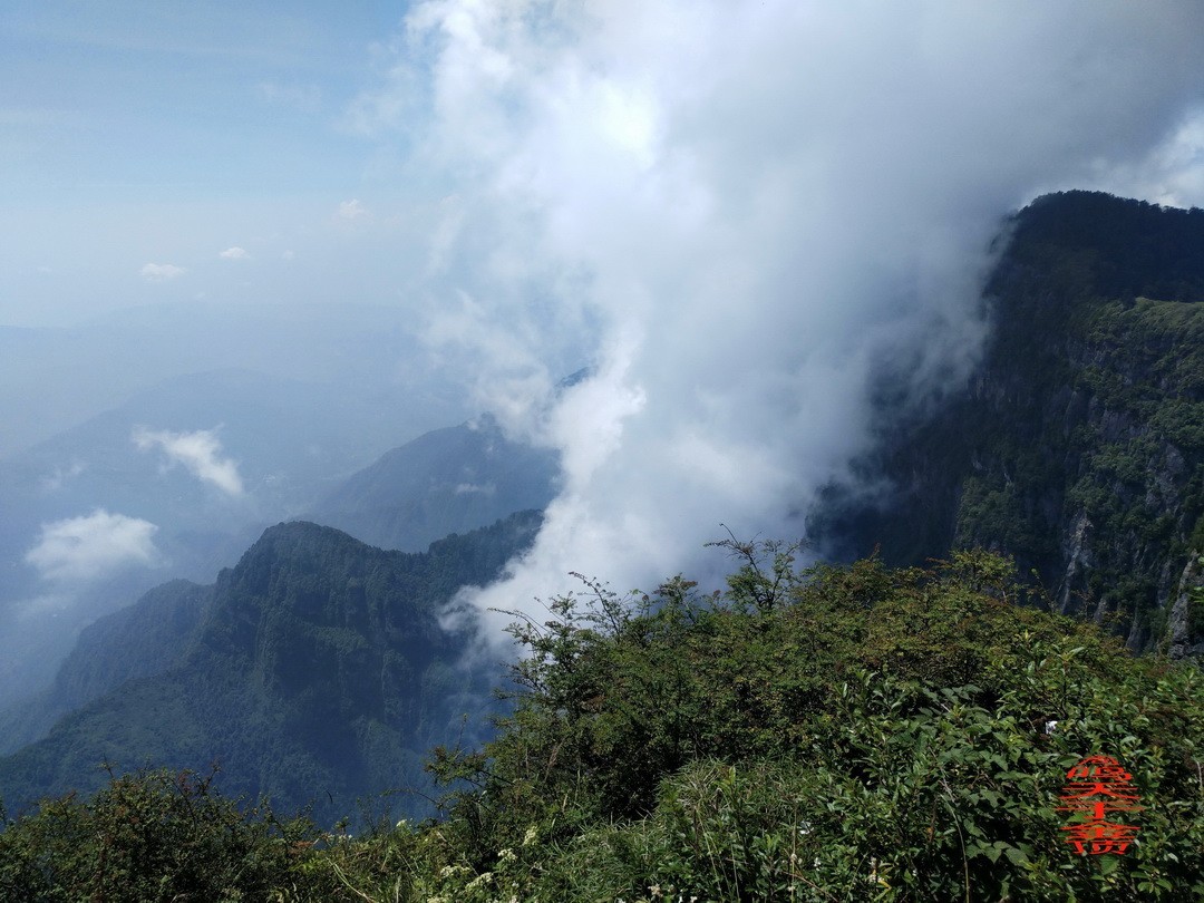 峨嵋仙山避暑登金顶上          周鸣天