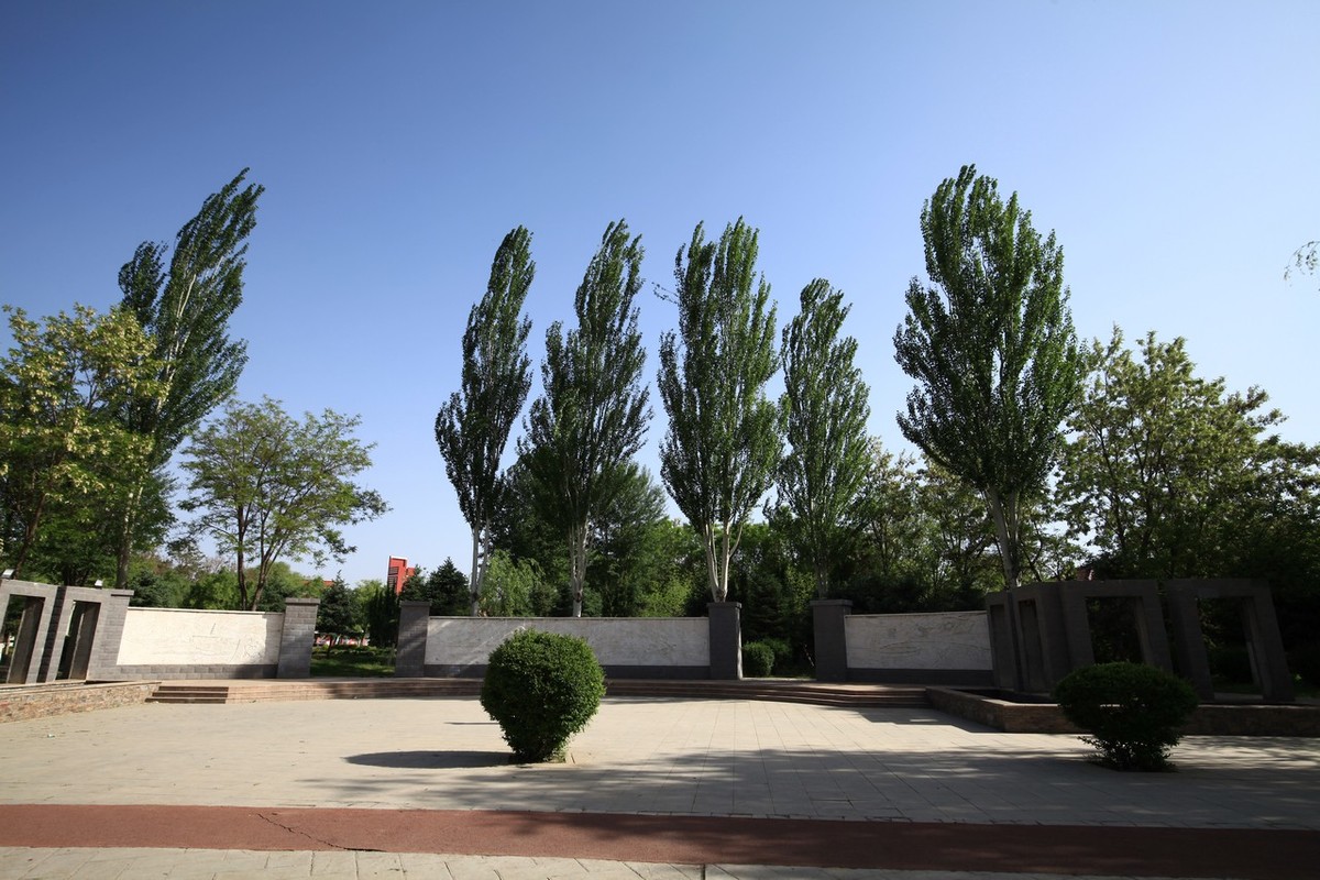 不喜微单就爱单反，更爱无敌兔！