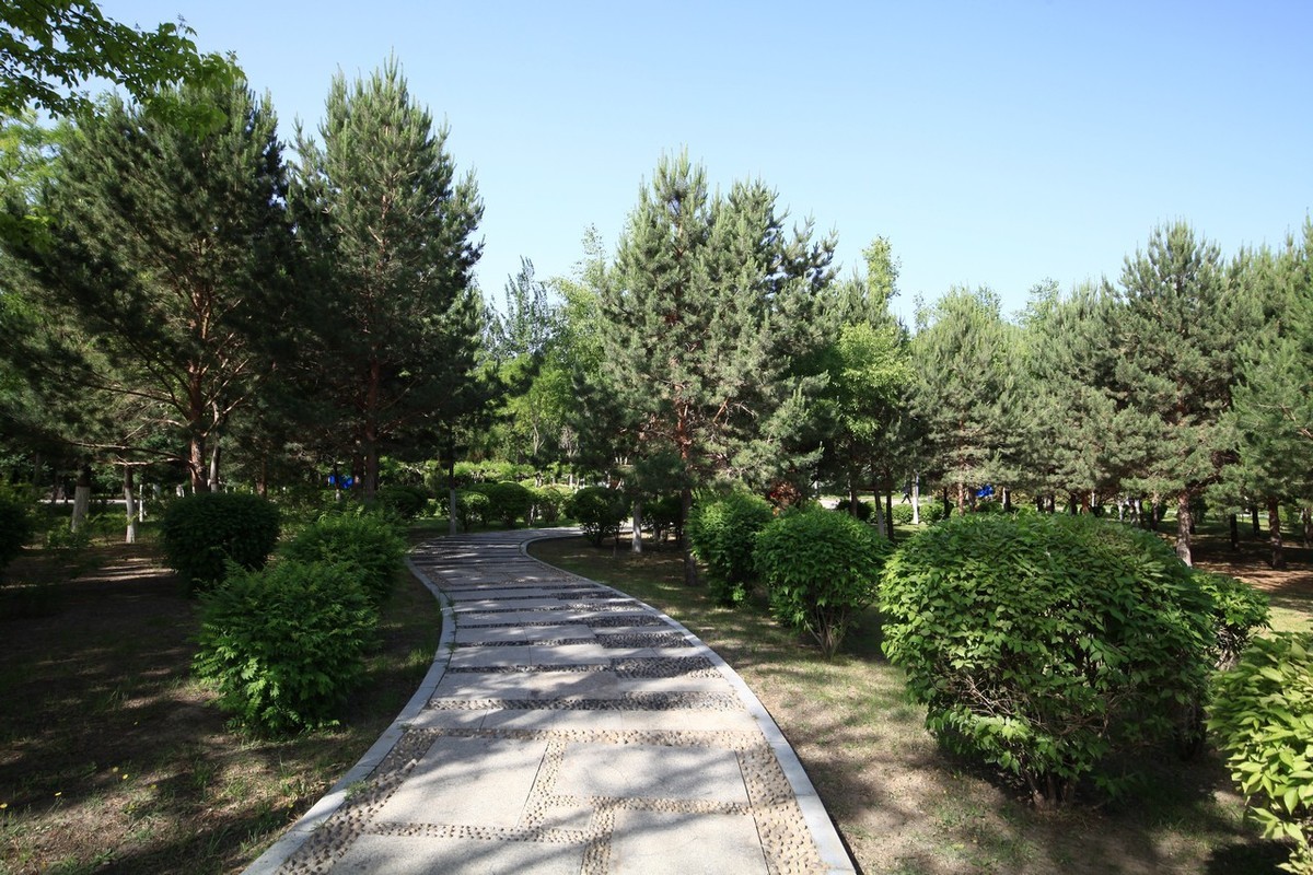 不喜微单就爱单反，更爱无敌兔！