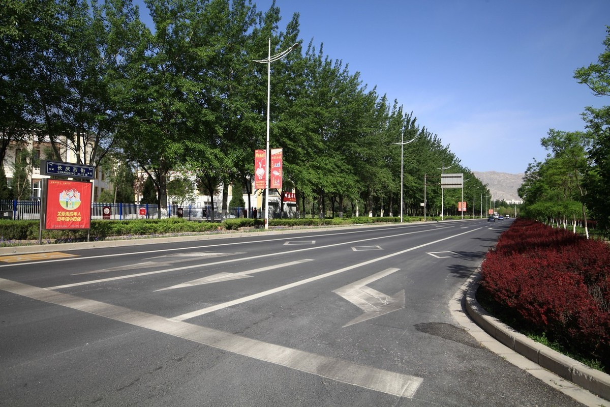 不喜微单就爱单反，更爱无敌兔！