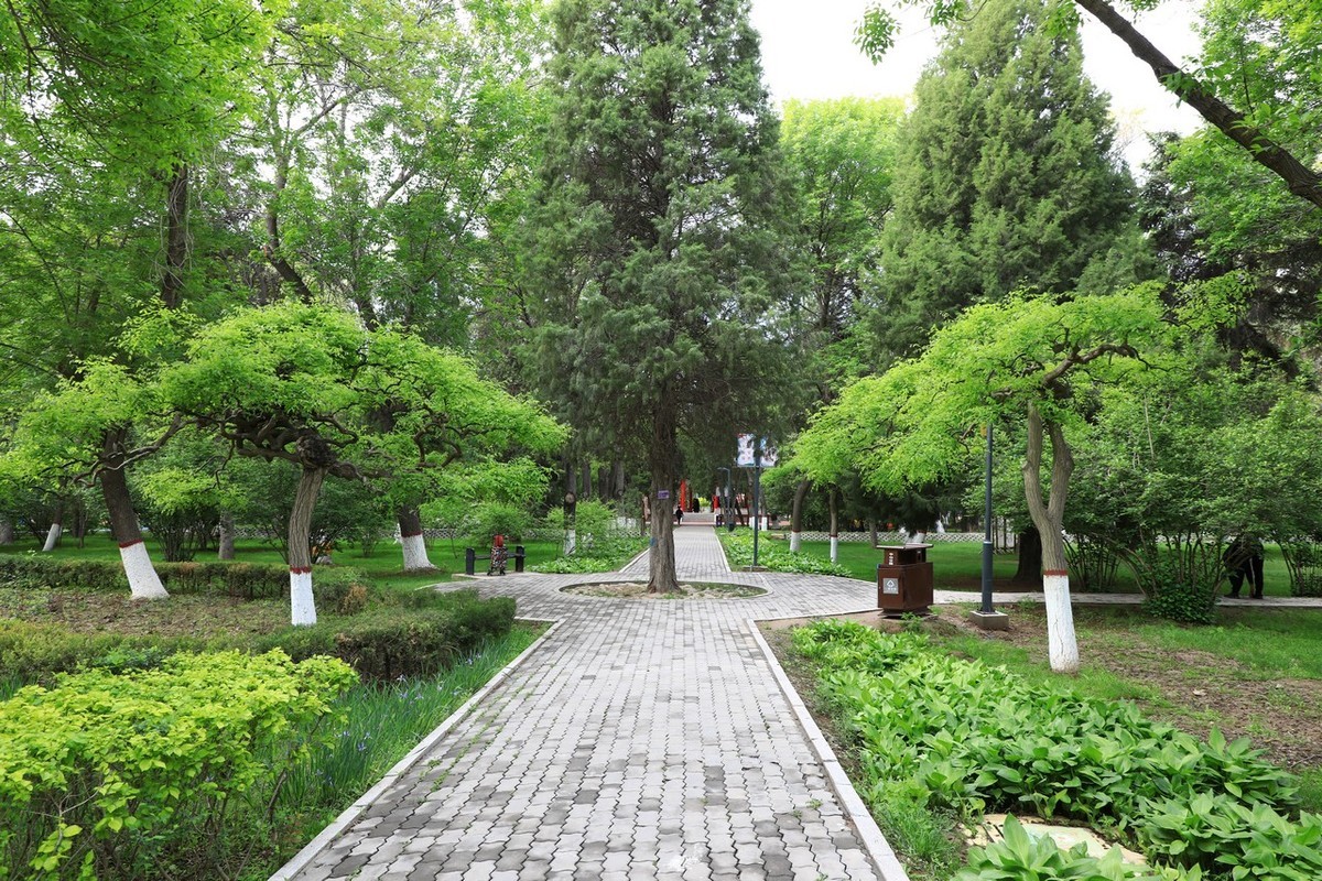 不喜微单就爱单反！