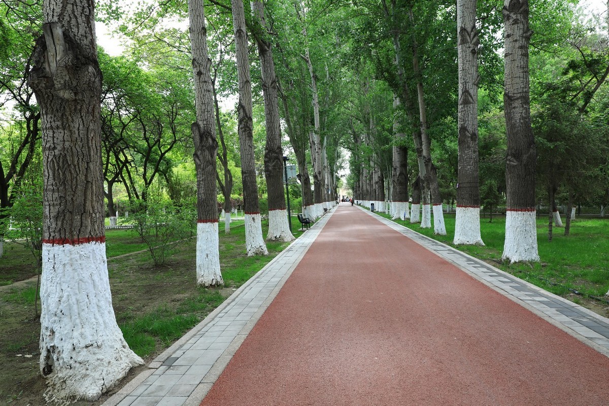 不喜微单就爱单反！