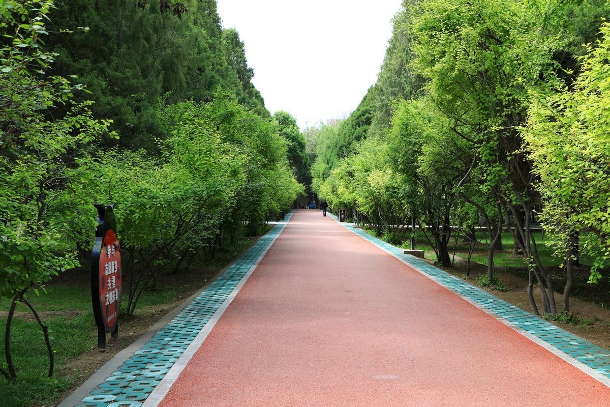 不喜微单就爱单反！