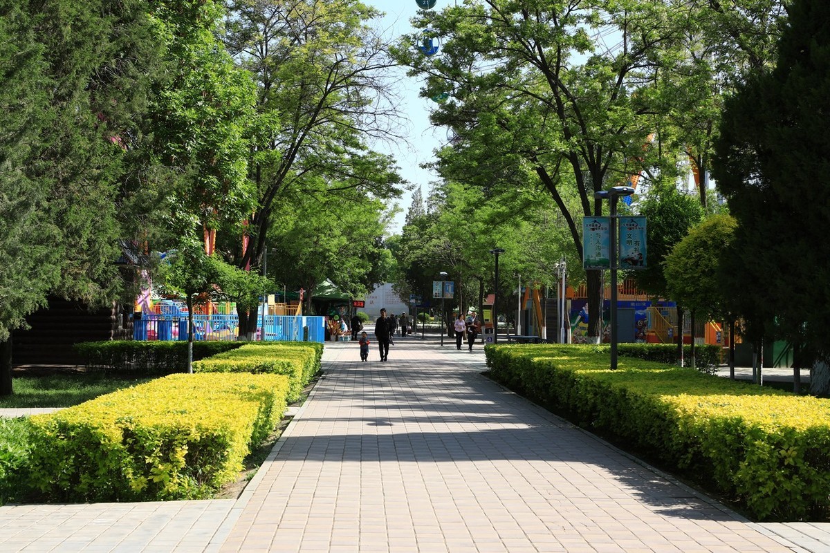 不喜微单就爱单反！