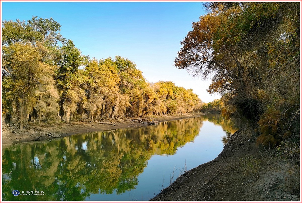 2024-(018)轮台塔里木河胡杨林(一)-中关村在线摄影论坛