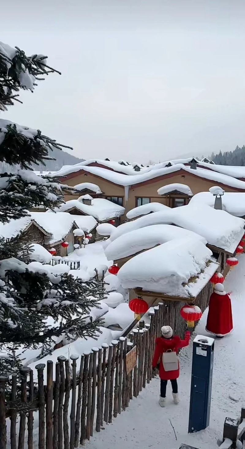 中国雪乡--双峰林场12