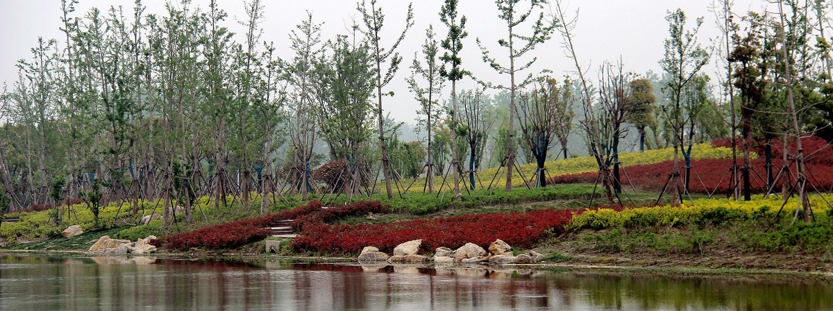 芦桥沟湿地公园