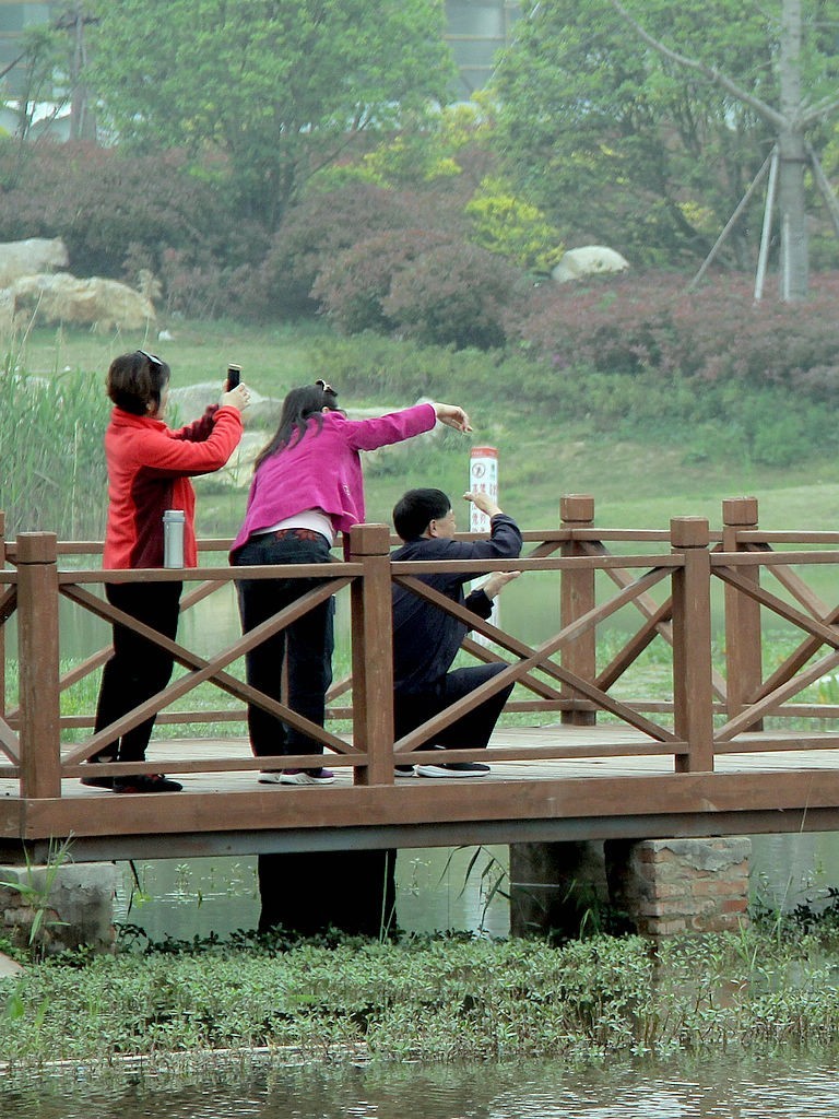 芦桥沟湿地公园=4