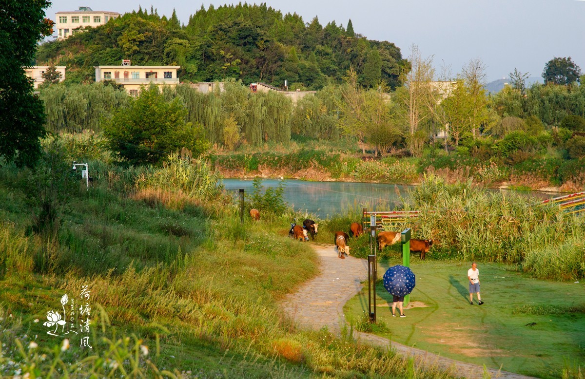 早上徒步拍摄，健身运动公园