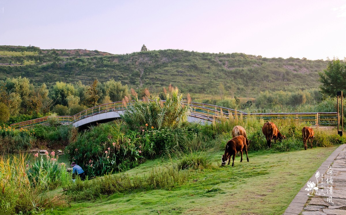 早上徒步拍摄，健身运动公园