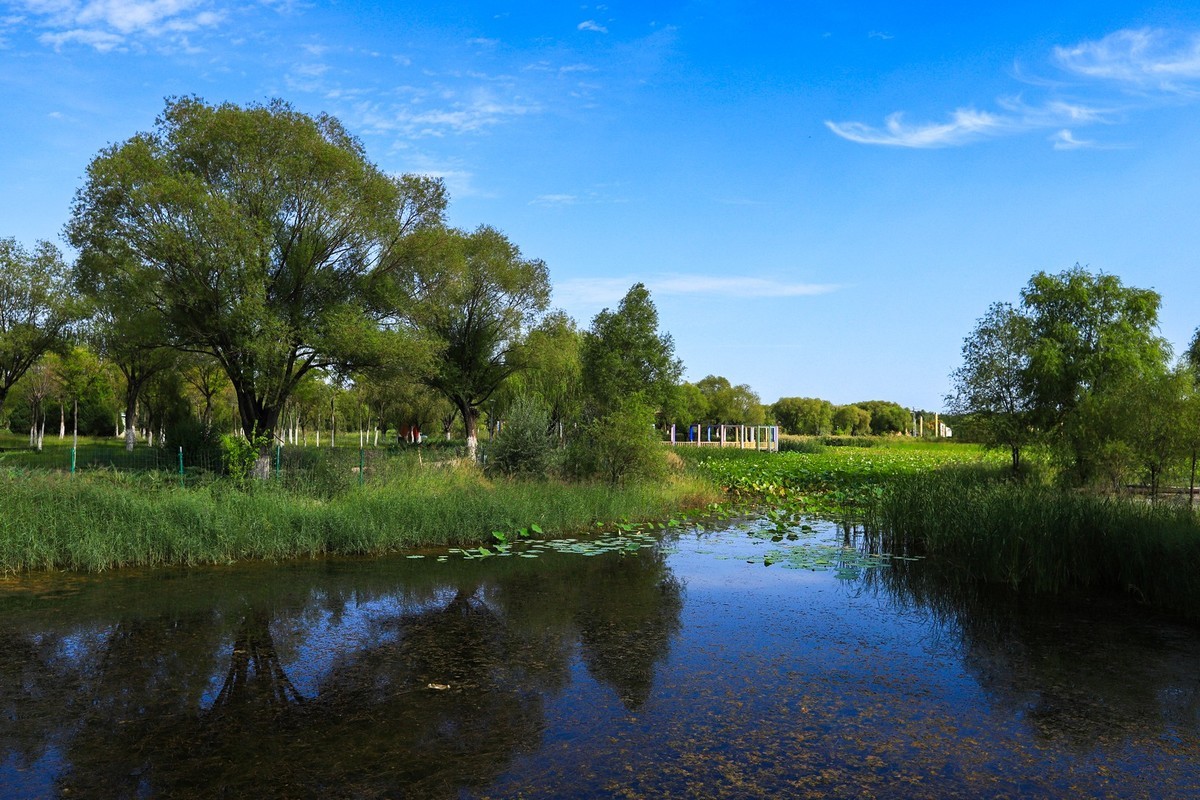 溜腿——溜机——溜乐趣（3）