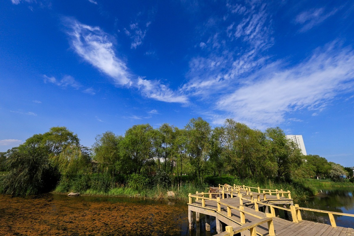 溜腿——溜机——溜乐趣（3）