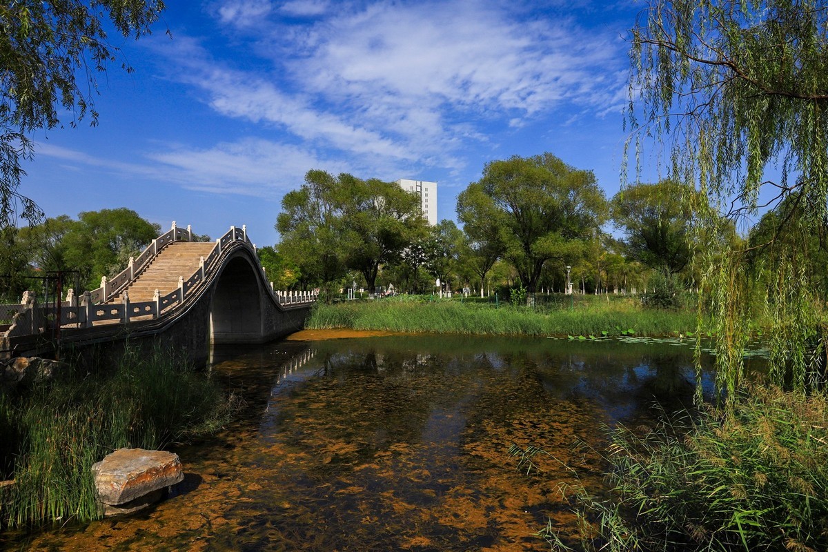 溜腿——溜机——溜乐趣（3）