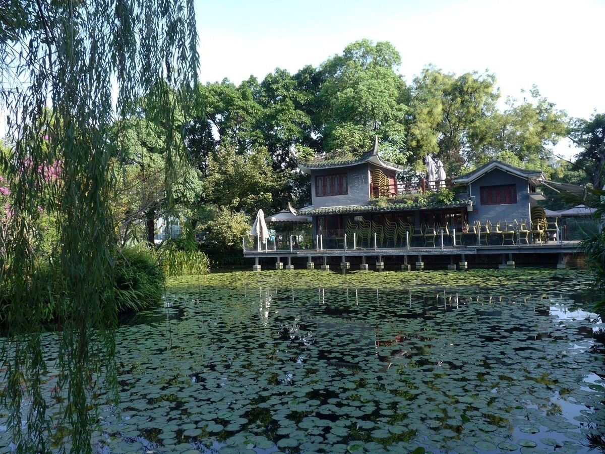 池塘小景，祝众摄友中秋节快乐！