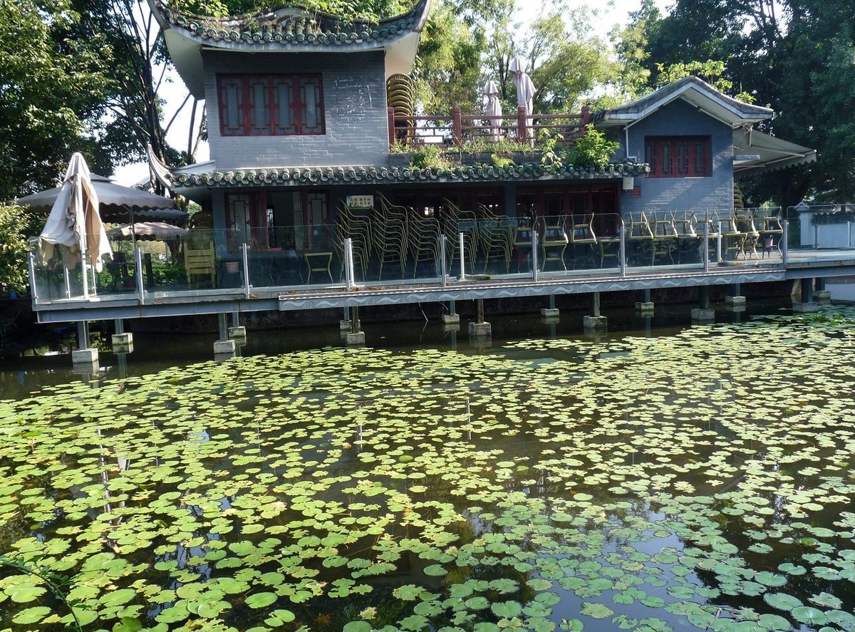 池塘小景，祝众摄友中秋节快乐！