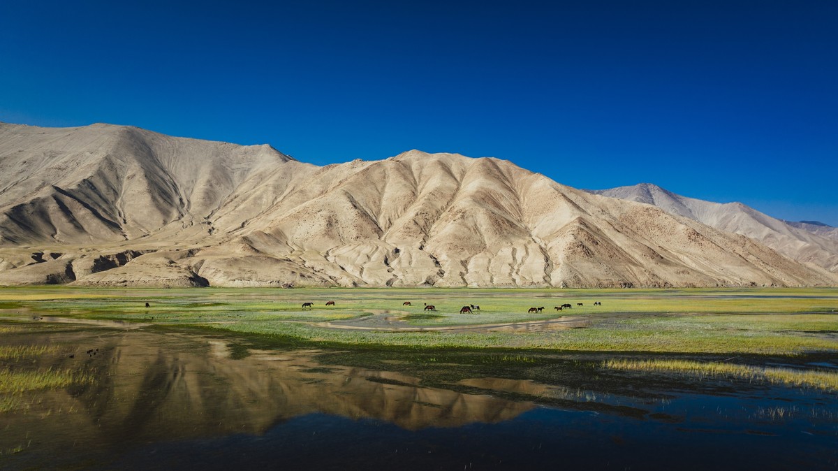 万山之结的召唤一帕米尔高原