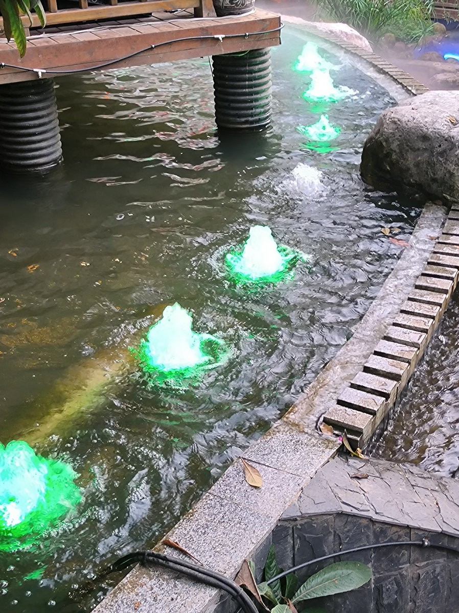 漫步星城 走街串巷（514）渔家饭