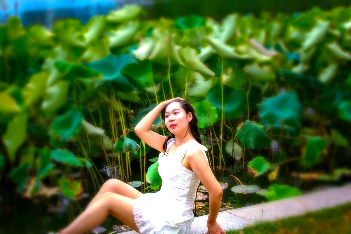 荷花池旁抓拍 10