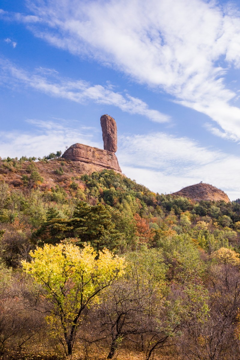 外出随拍（续329）.