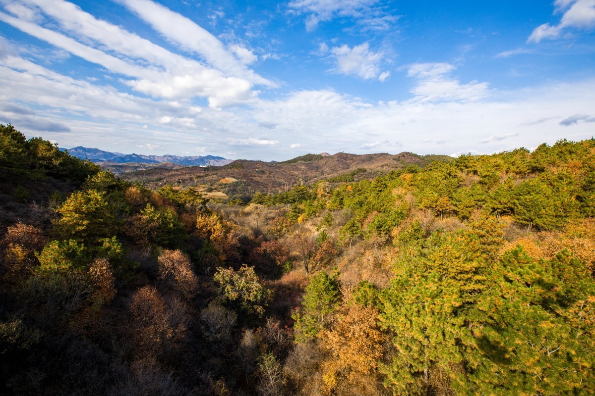 外出随拍（续329）.