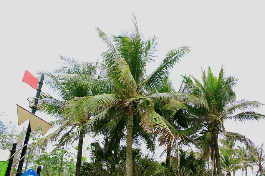 《不老松：忆海南游记》海南临髙长島蓝湾的美景！(6)