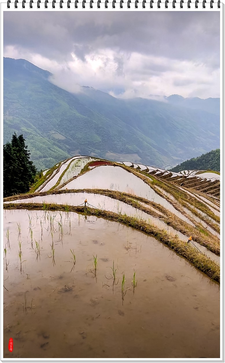 2025年-龙脊梯田纪实抓拍-0470
