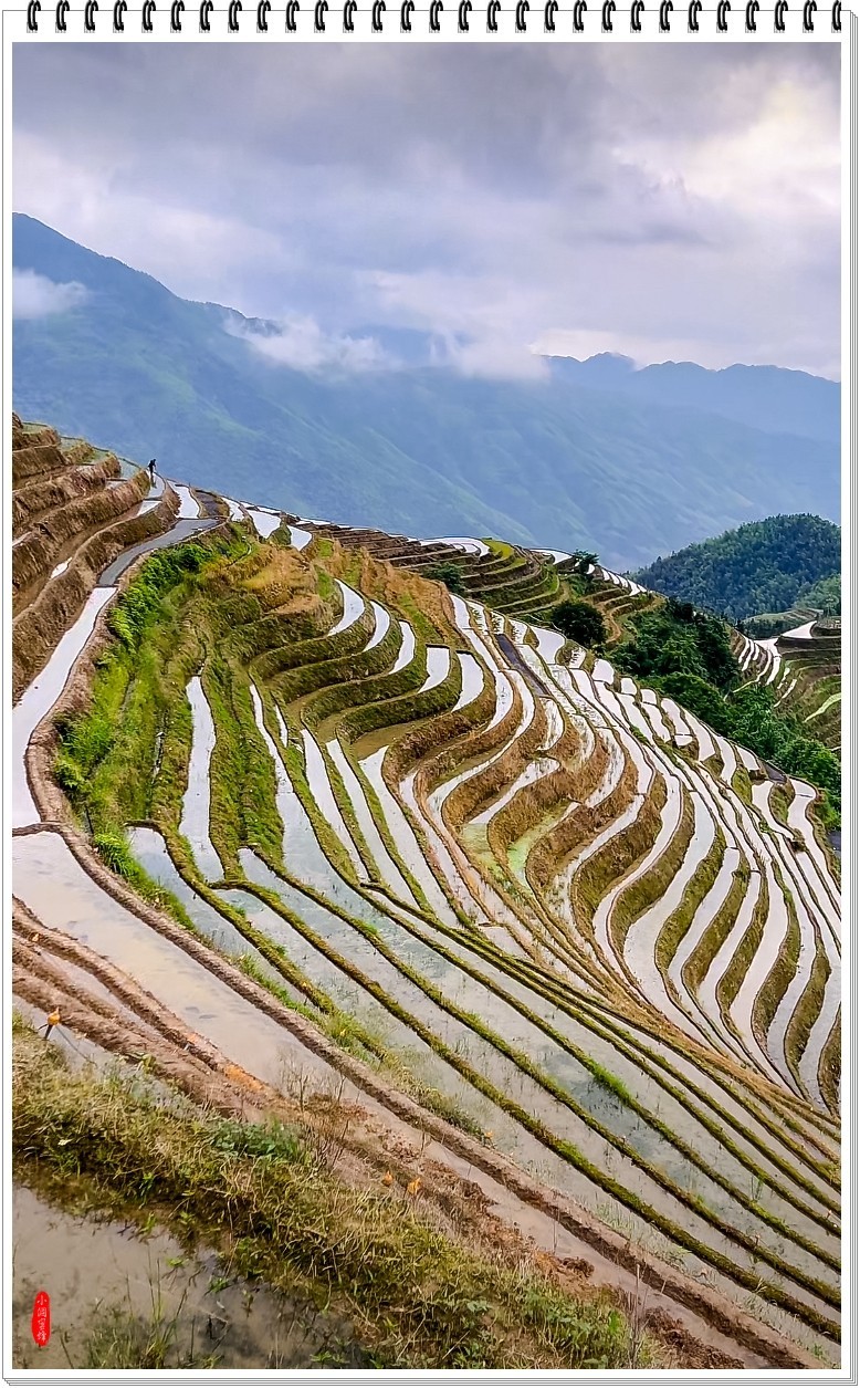 2025年-龙脊梯田纪实抓拍-0470