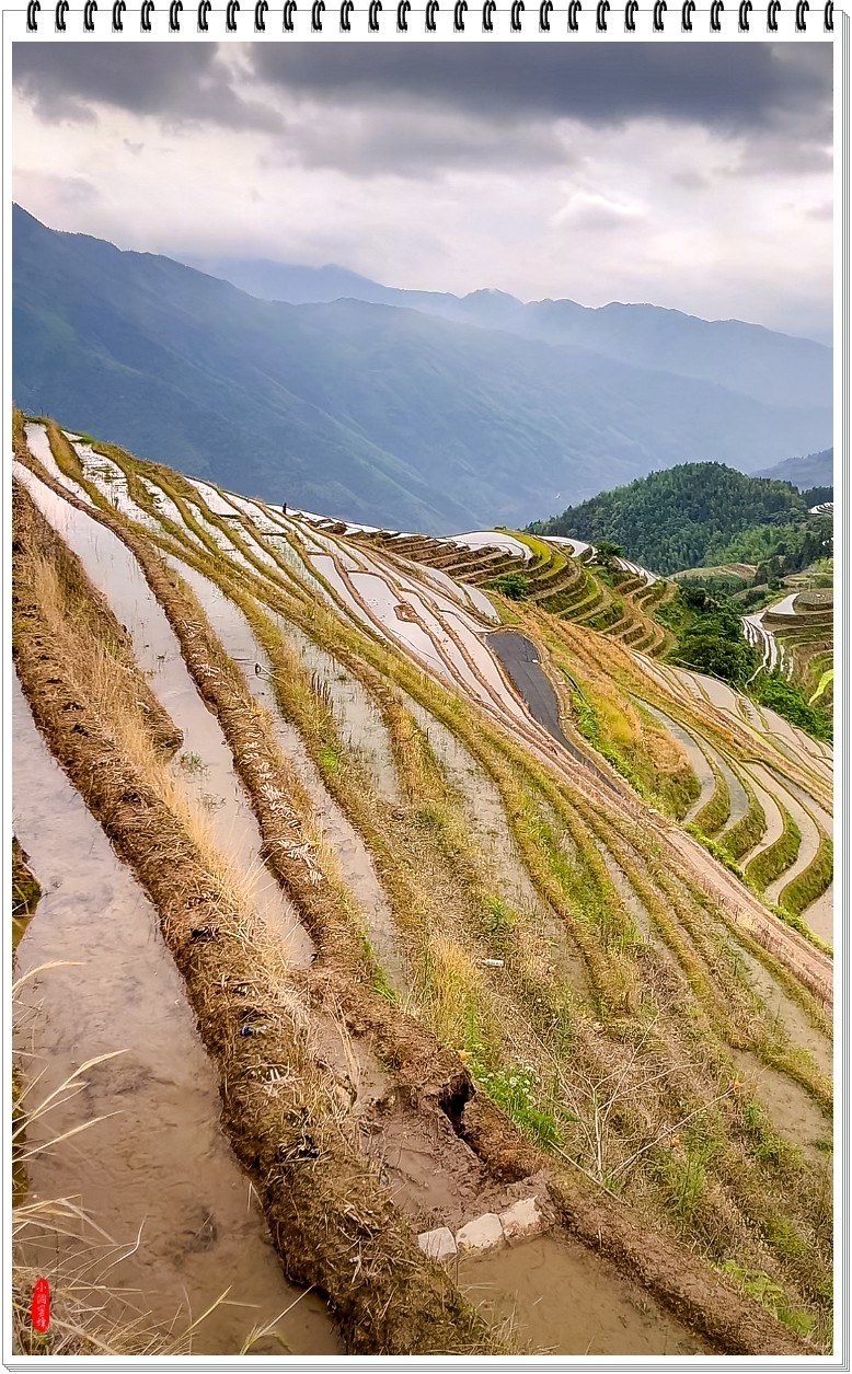 2025年-龙脊梯田纪实抓拍-0470