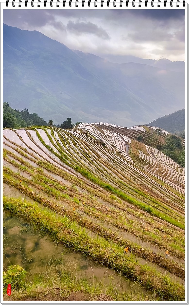 2025年-龙脊梯田纪实抓拍-0470