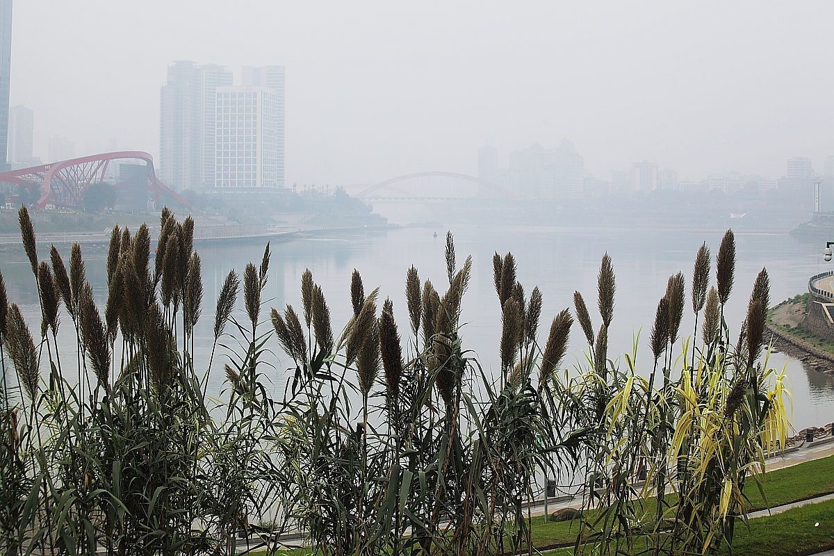 长江第一城——宜宾（一）