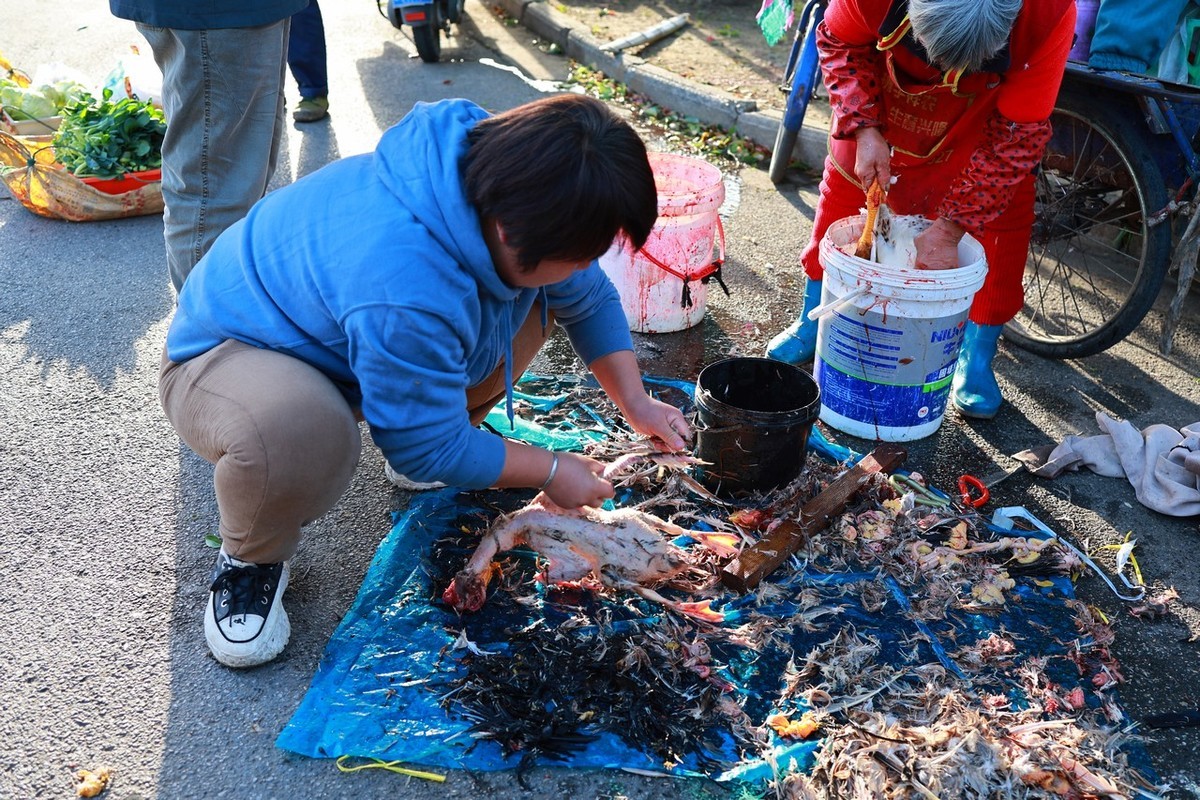 古镇随拍 ------ 2