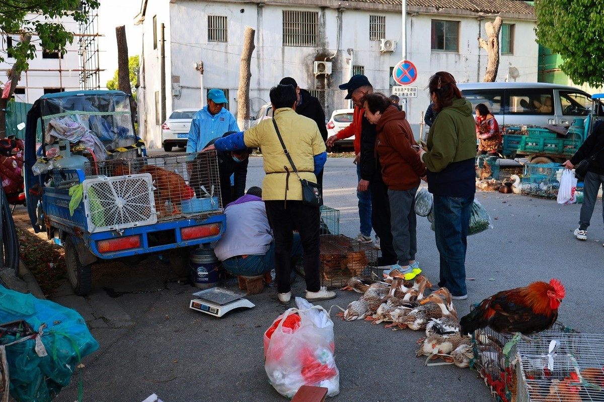 古镇随拍 ------ 2