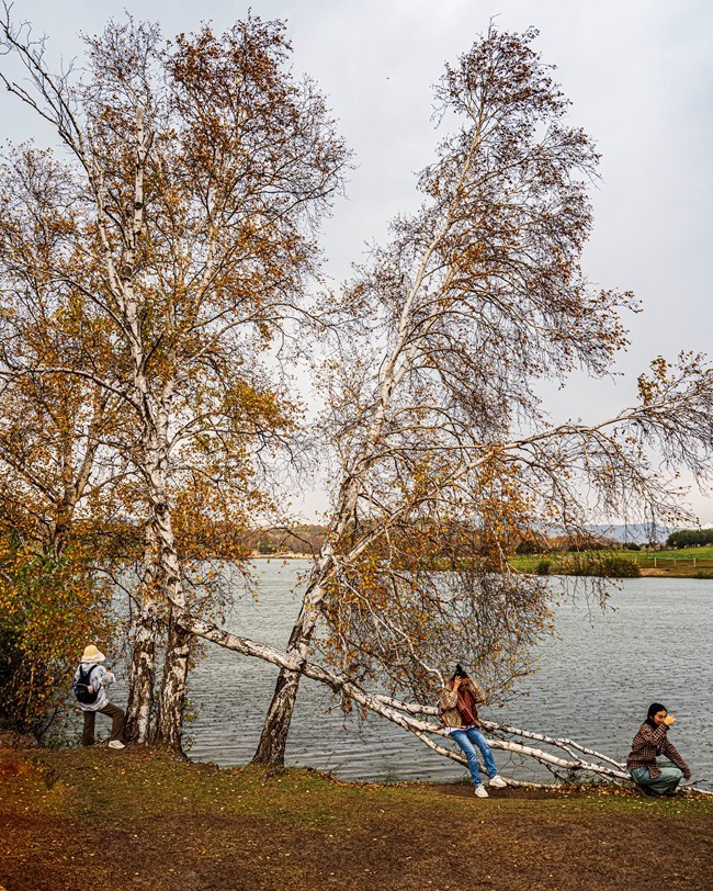 行走在--坝上草原【8】公主湖