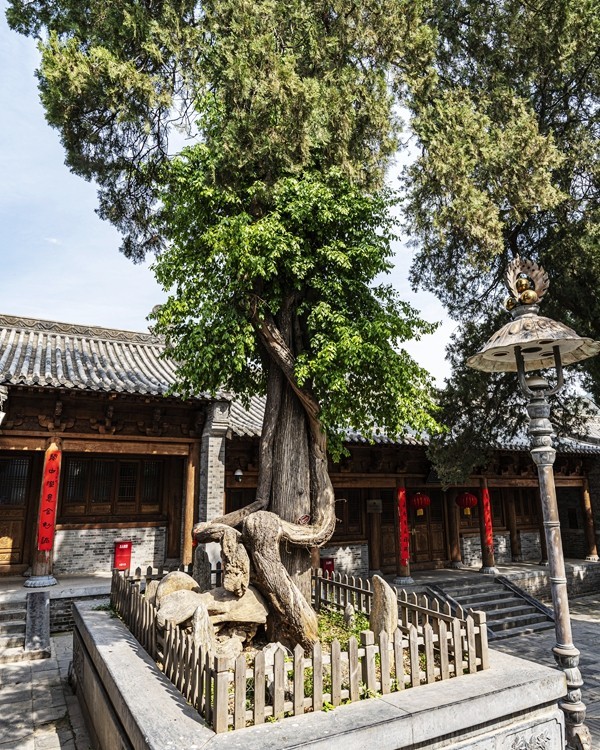 河南嵩山--少林寺【5】