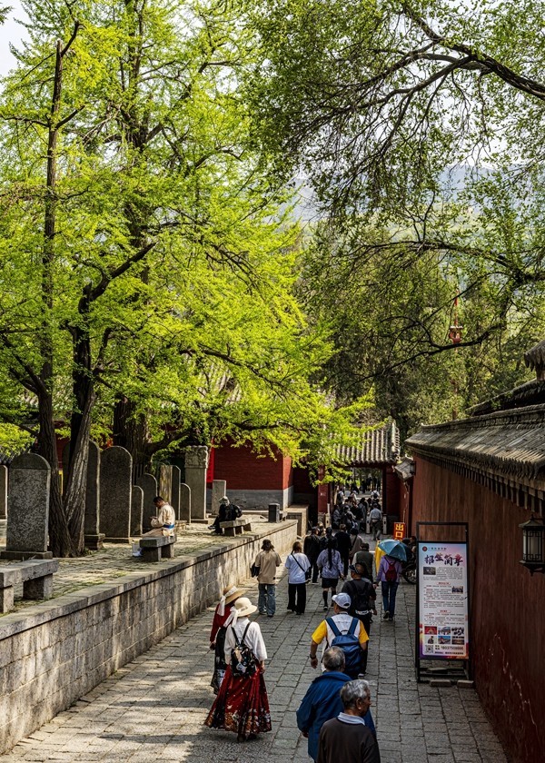 河南嵩山--少林寺【5】