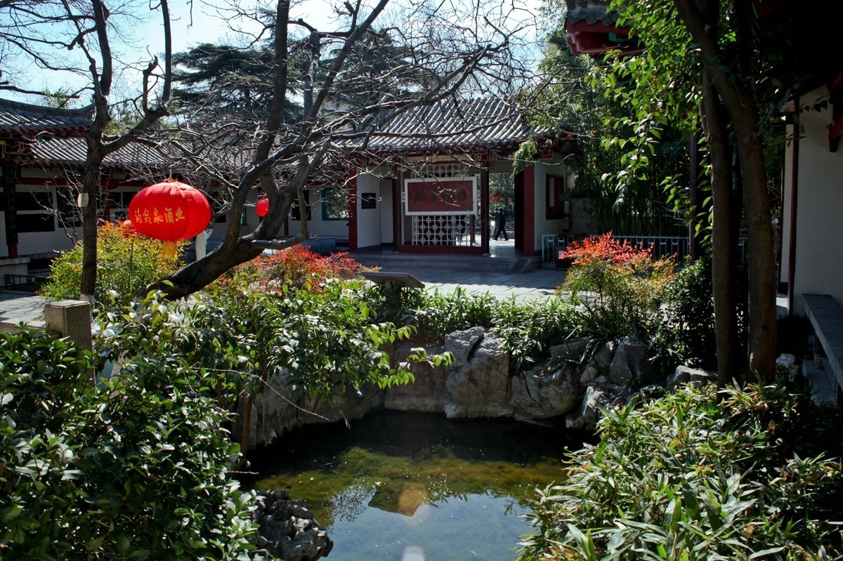 早春——趵突泉景色