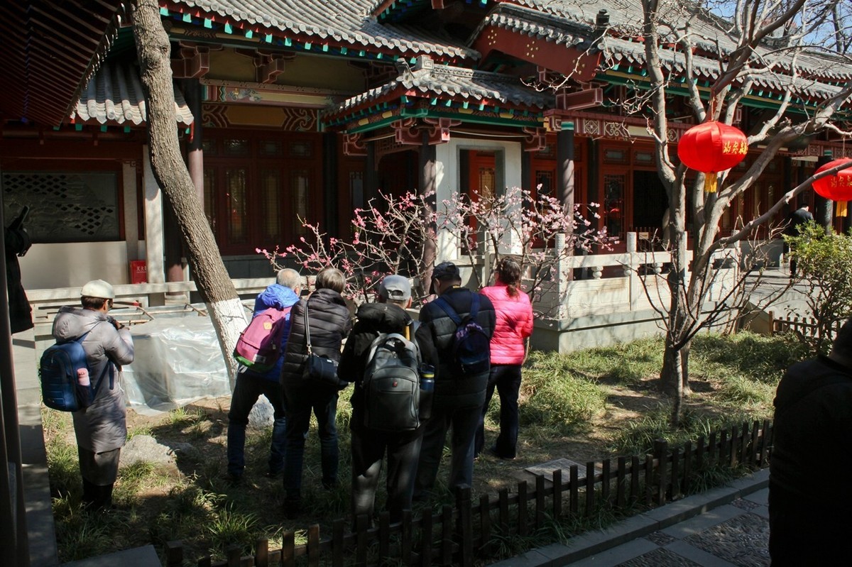 早春——趵突泉景色