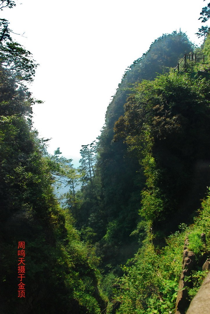 峨嵋仙山避暑登金顶上          周鸣天