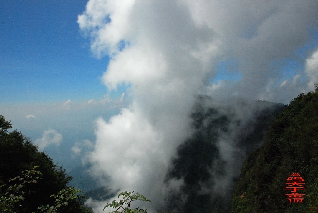 峨嵋仙山避暑登金顶上          周鸣天