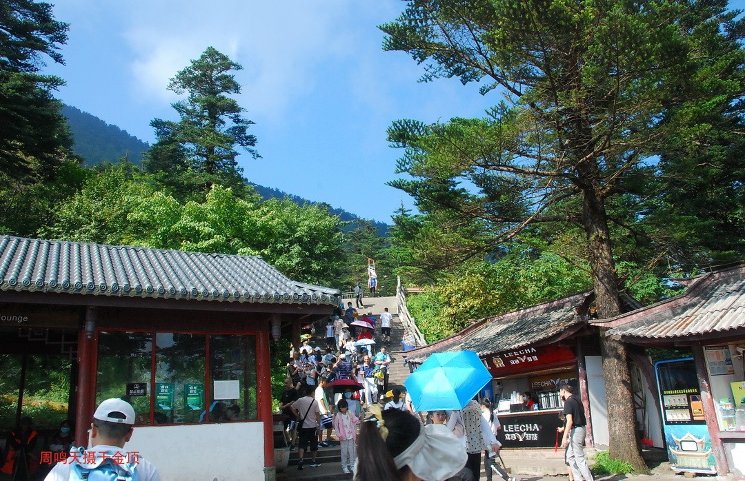 峨嵋仙山避暑登金顶上          周鸣天