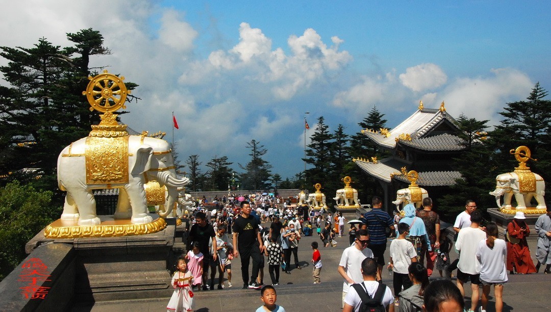 峨嵋仙山避暑登金顶上          周鸣天