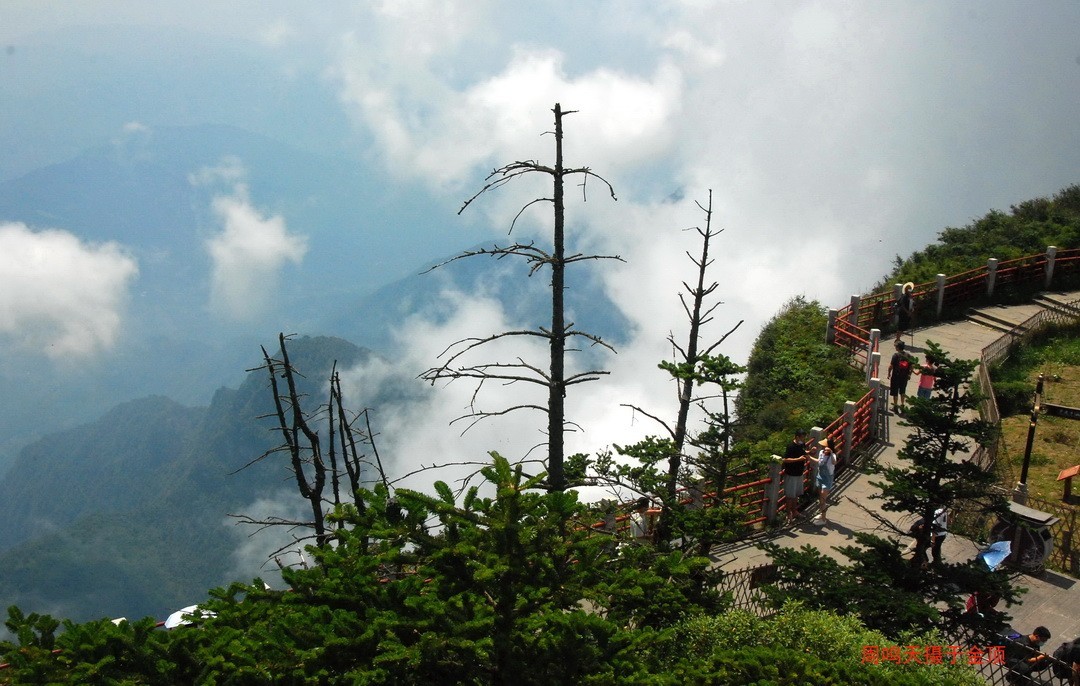 峨嵋仙山避暑登金顶上          周鸣天