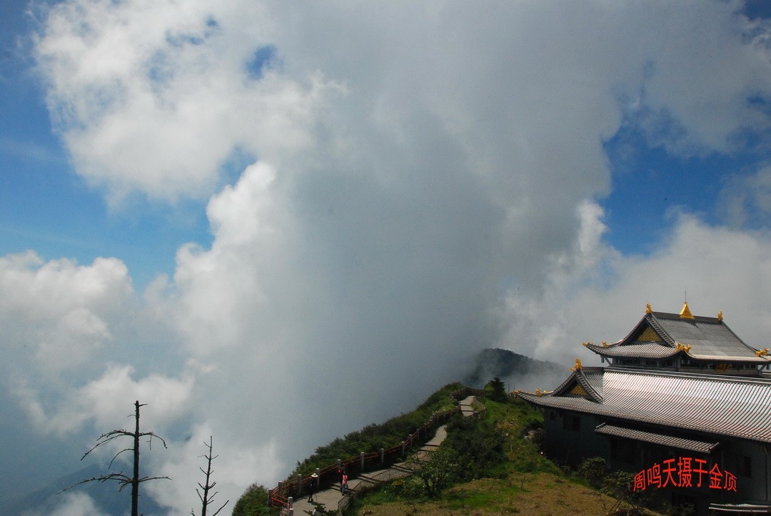 峨嵋仙山避暑登金顶上          周鸣天