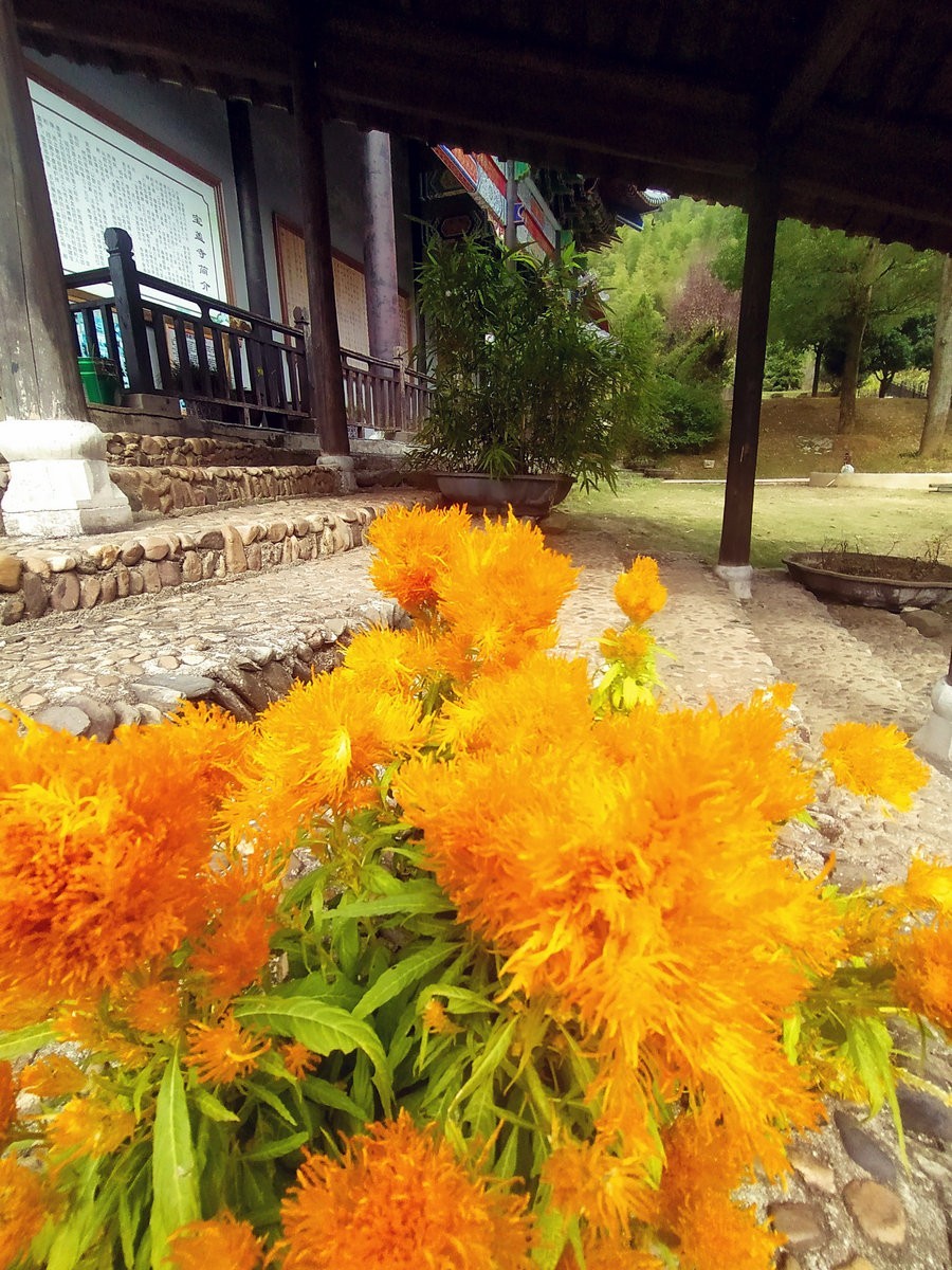 漫步星城 走街串巷（327）宝盖寺