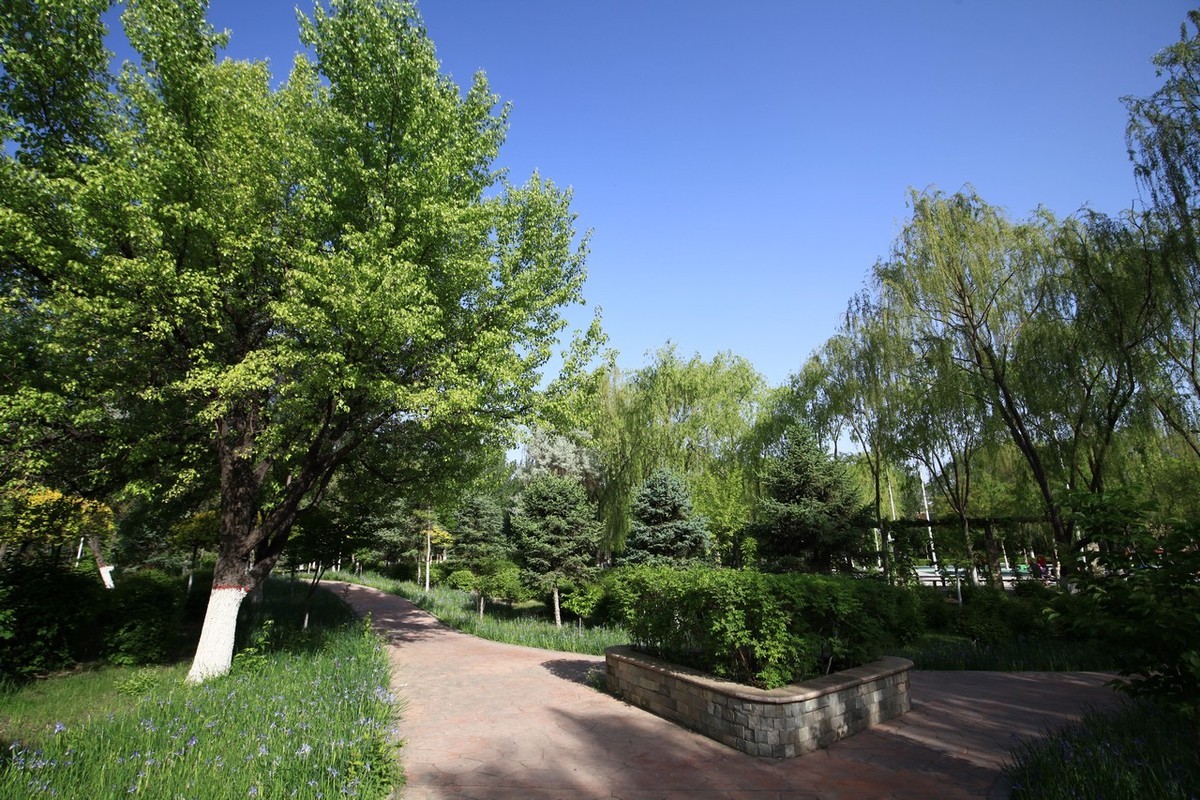 不喜微单就爱单反，更爱无敌兔！