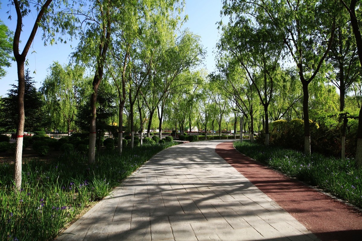 不喜微单就爱单反，更爱无敌兔！